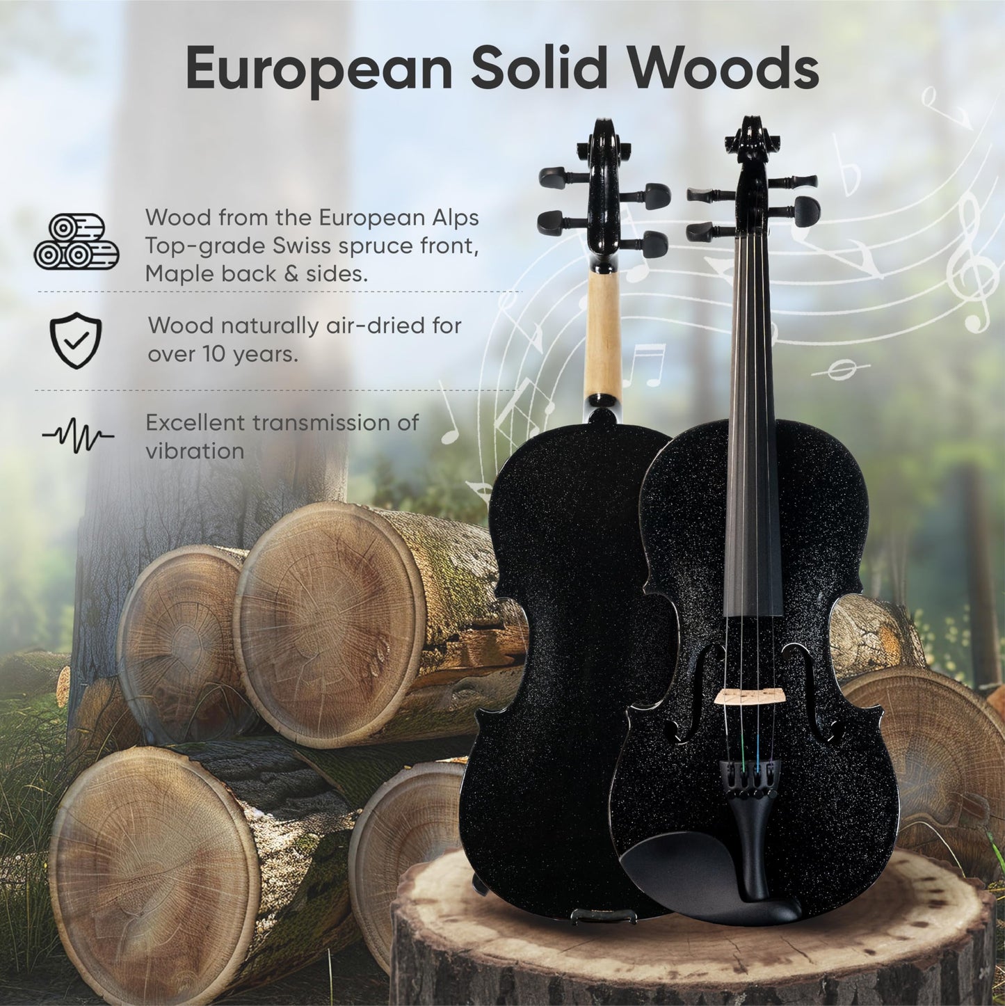 PHOENIX Violin 4/4 Full Size Set, Fiddle Solid Wood for professional Beginners Adults with Rosewood Bow Extra strings & Bridge,Rosins, Tuner, Mute, Case (Black, Full)